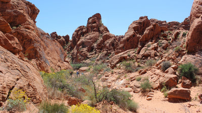 Nevada’s Oldest State Park – Valley of Fire