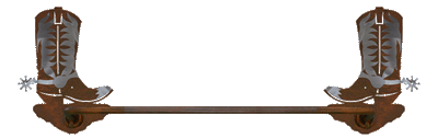 Burnished Cowboy Boot 18 Inch Hand Towel Bar