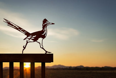 Road Runner Metalbird Yard Art