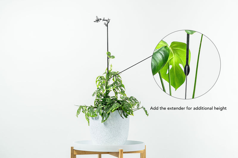 Hummingbird Metal Indoor / Outdoor Plant Stake