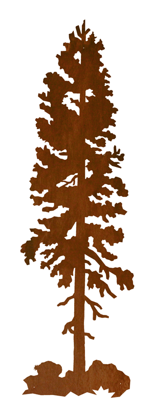 Lodge Pole #3