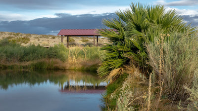 Oasis in the Desert - Rogers Spring Lake Mead National Recreation Area