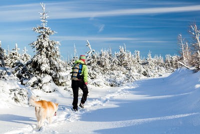 9 Winter Hiking Tips