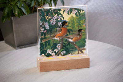 Apple tree with two perched Robins acrylic table top night light with a wood base sitting on a table with a potted plant in the background.