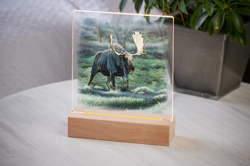 Bull Moose design acrylic tabletop night light with wood base on a table with a potted plant in the background.