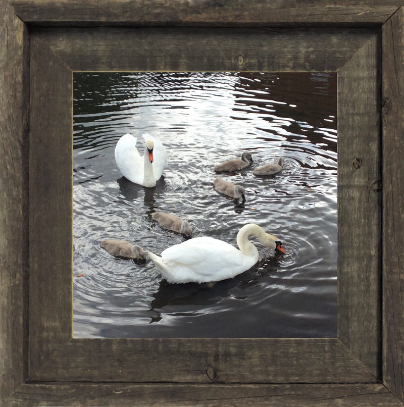 Narrow Western 2" Barnwood Picture Frame