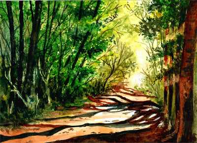 Dirt Path in Shaded Forest - Watercolor Painting