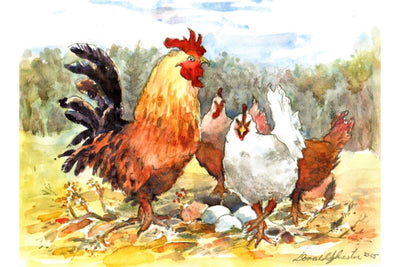 Chickens / Rooster on the Farm - Watercolor Painting