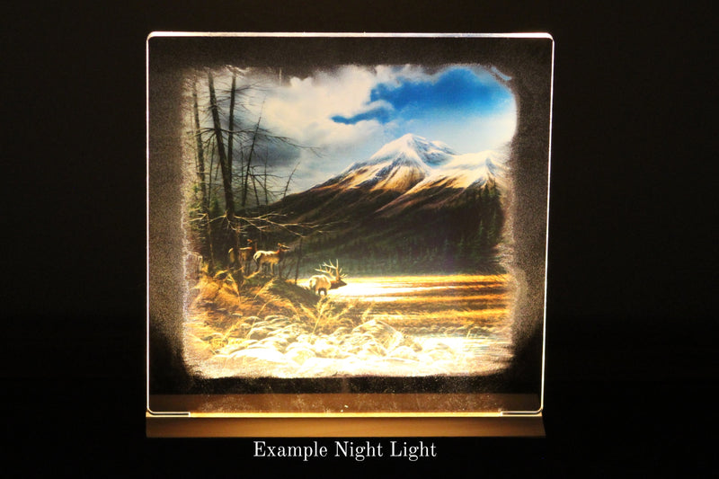 Example Arcylic night light with a mountain and bull elk design on a wood base with a black background.
