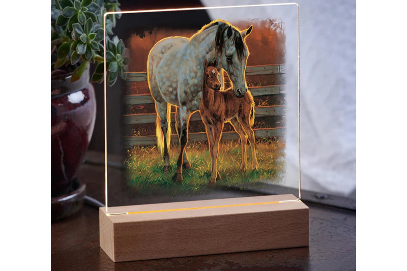 Acrylic tabletop night light featuring a Quarter Horse and her colt design with a wood base sitting on a table with a potted plant in the background.