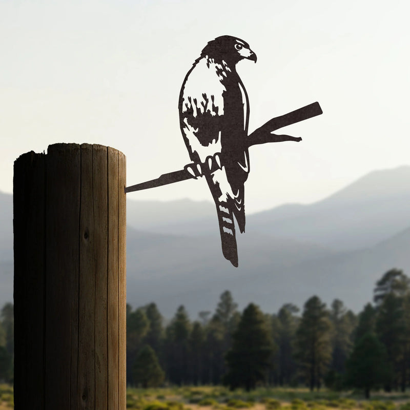 Red-Tailed Hawk Metal Bird Tree Silhouette