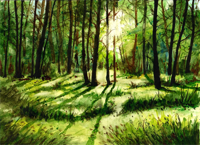 Sunlight Shining Through Green Forest - Watercolor Painting