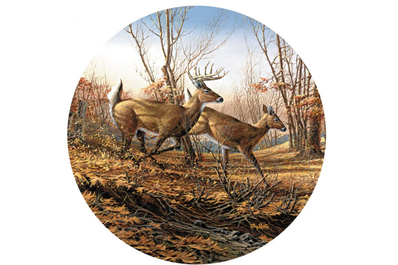Two deer in a forest scene with trees and foliage.