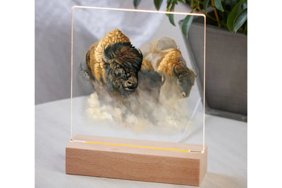 Acrylic tabletop LED night light featuring a bison / buffalo design on a wood base sitting on a table with a potted plant in the background.