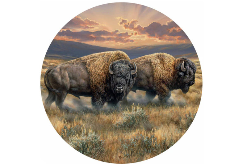 Two bison standing in a field with a sunset sky