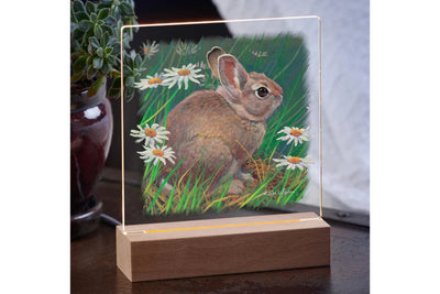 Acrylic tabletop night light featuring a cottontail rabbit sitting is a patch of daisies with a wood base sitting on a table with a potted plant in the background.