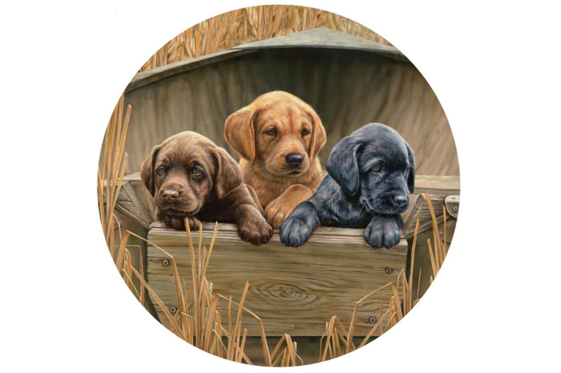 Artwork of three lab puppies titled "All Hands on Deck" by Rosemary Millette.