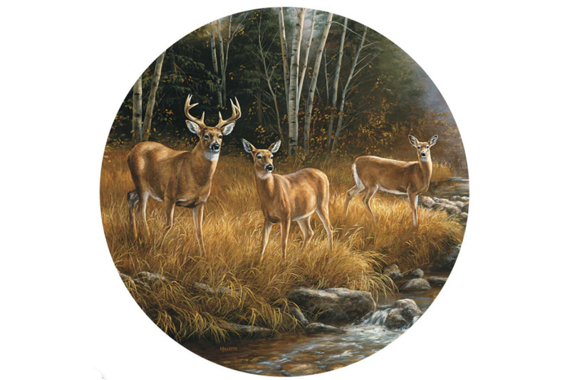 Painting of deer in a forest setting with a stream.