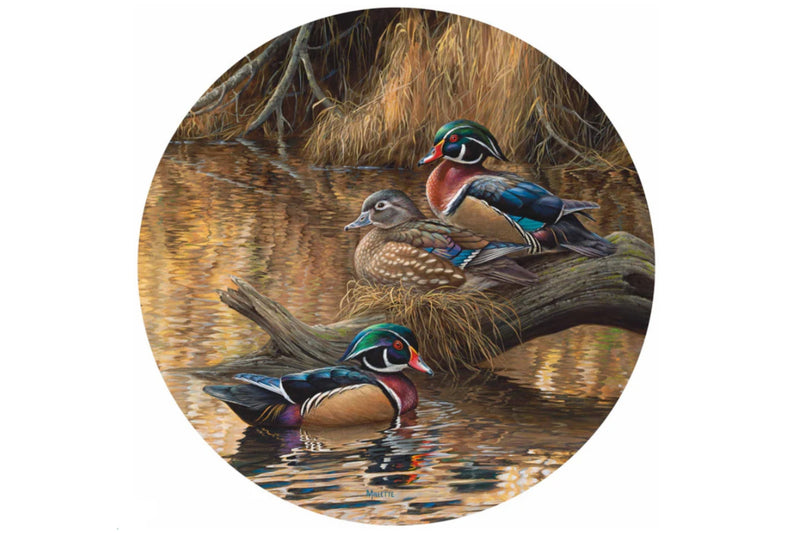 Artwork of three wood ducks by Rosemart Millette.