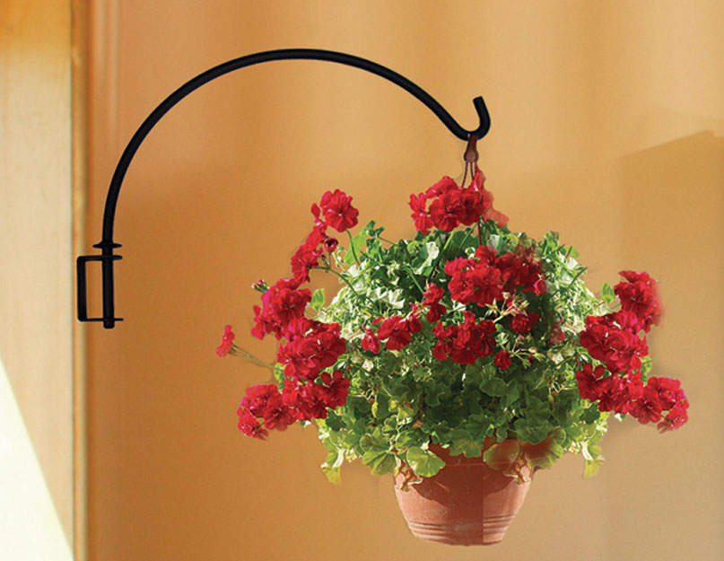 hanging wrought iron plant holders Village Wrought Iron Plant Hanger 13 Inch with Bracket