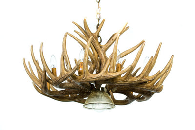 Whitetail 12 Antler Cascade Reproduction Chandelier with Downlight