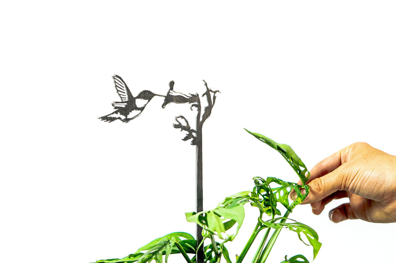 Hummingbird Metal Indoor / Outdoor Plant Stake